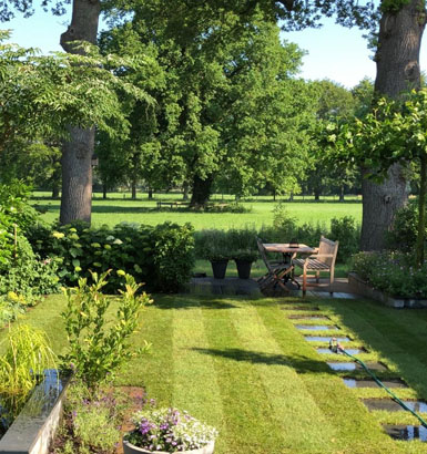 service single images