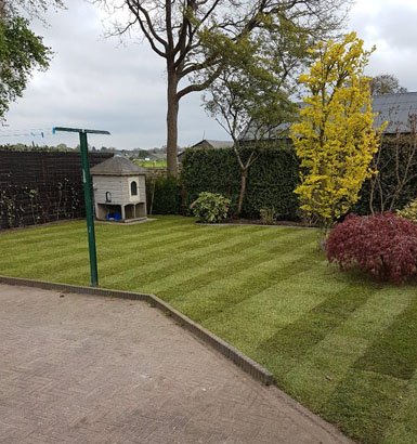 service single images