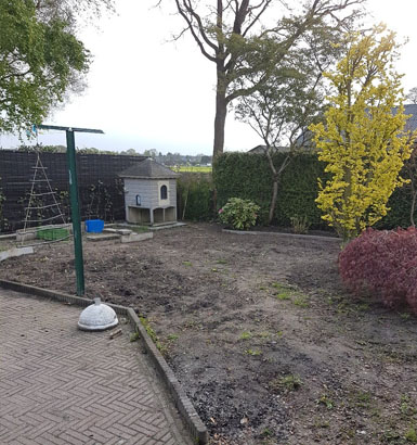 service single images