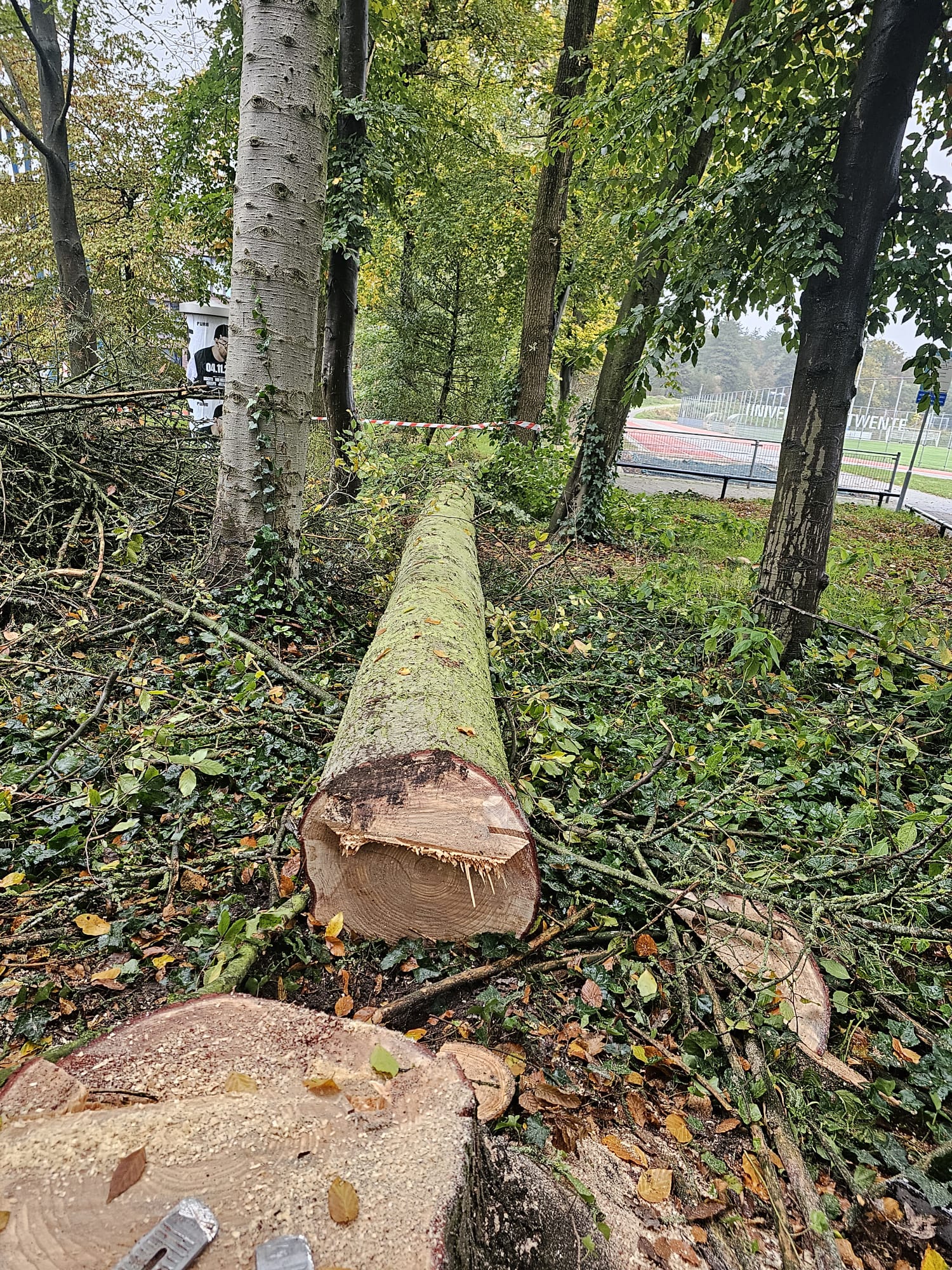 service single images